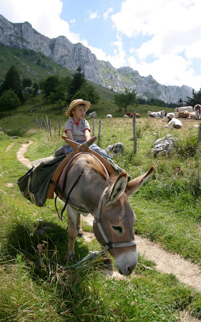 Rando Anes à Roybon