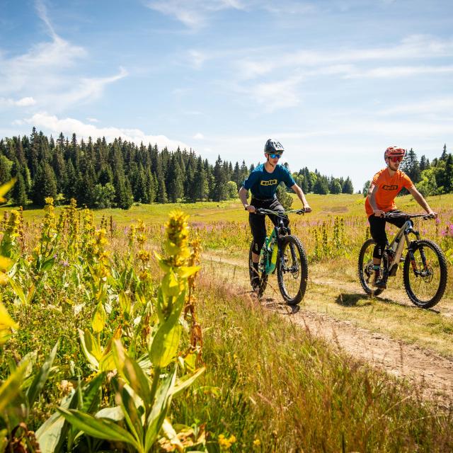 ©focusoutdoor Vtt Amis Droits Finété2025 (15)