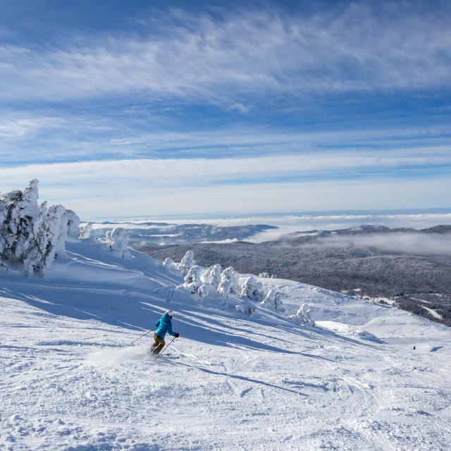 ©carolesavary Paysage Ski Hiver 2019 (43) 2