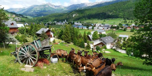 Corrençon Chevrerie Cabrioles