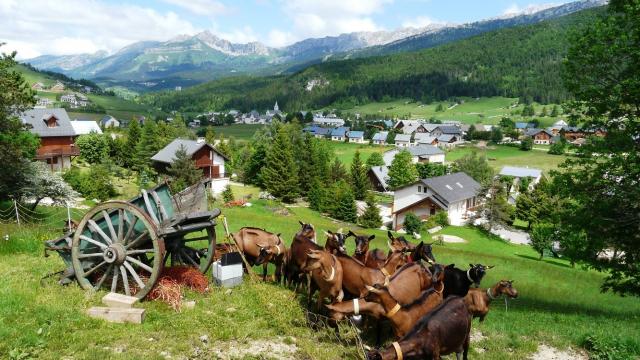 Corrençon Chevrerie Cabrioles