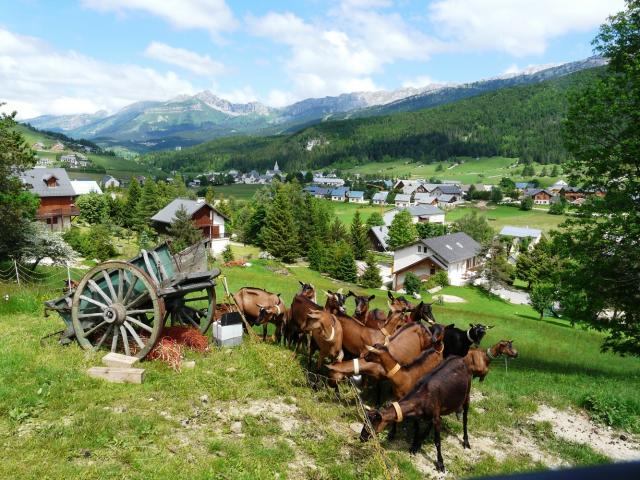 Corrençon Chevrerie Cabrioles