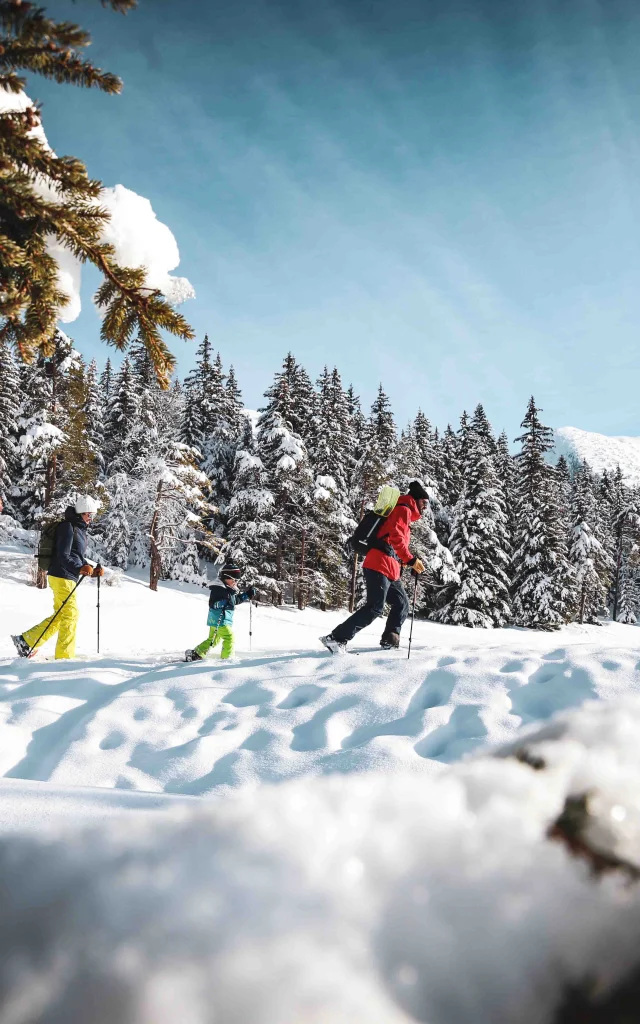 ©klip Raquette Vercors 03 2