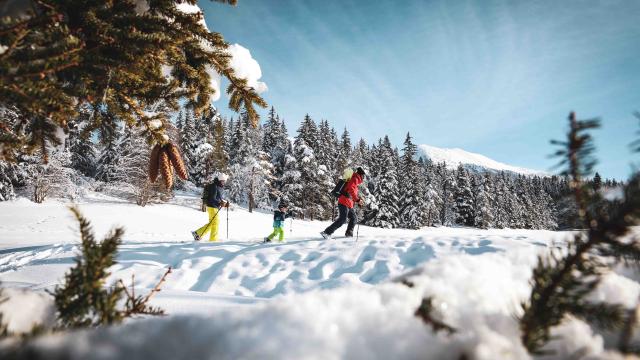 ©klip Raquette Vercors 03 2