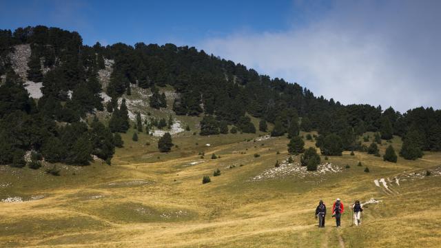 ©S et M BOOTH réserve Hauts-Plateaux, automne 5