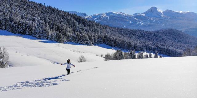 ©carolesavary Paysage Colduliorin Hiver (1)