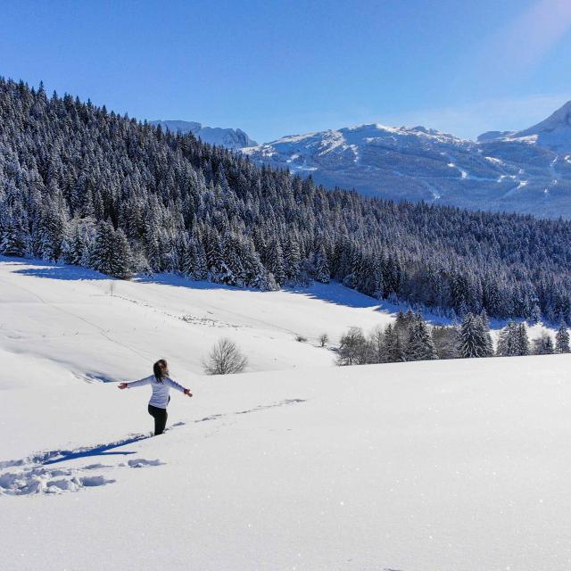 ©carolesavary Paysage Colduliorin Hiver (1)