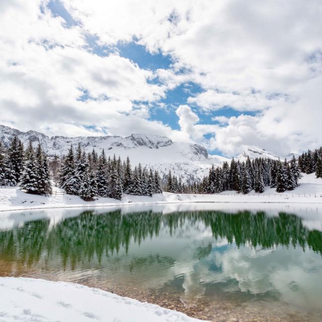 ©carolesavary Paysage Lac des prés Hiver- Villard de Lans