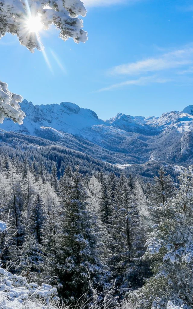 ©carolesavary Paysage Vallon Fauge