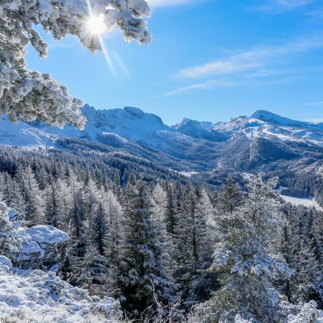 ©carolesavary Paysage Vallon Fauge