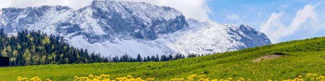 carolesavary-paysage-printemps.jpg