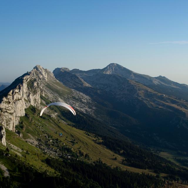 ©carolesavary Paysage Eté (67)