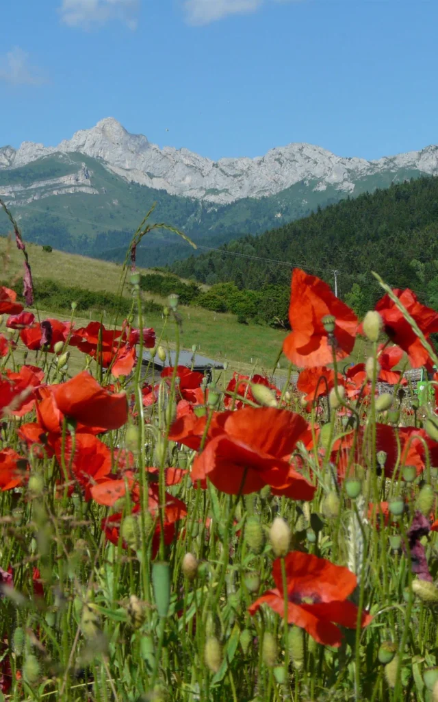 L'esprit Villard Et Corrençon