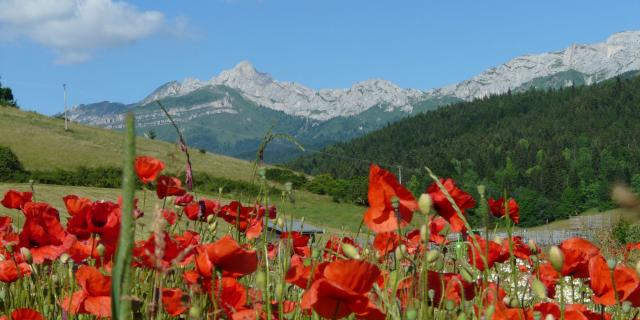 L'esprit Villard Et Corrençon