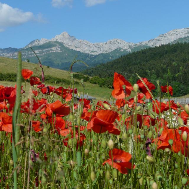 L'esprit Villard Et Corrençon