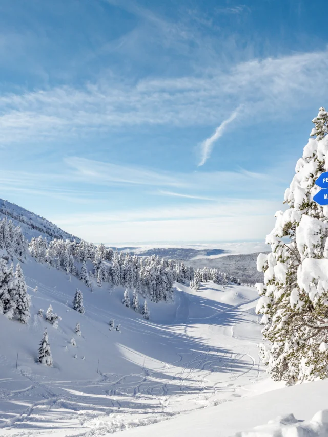 ©carolesavary Paysage Ski Hiver 2019 (51) 2