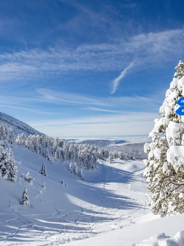 ©carolesavary Paysage Ski Hiver 2019 (51)