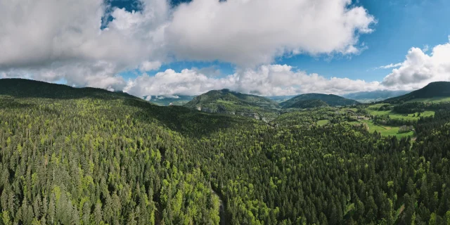 Foret Vercors Bois Barbu