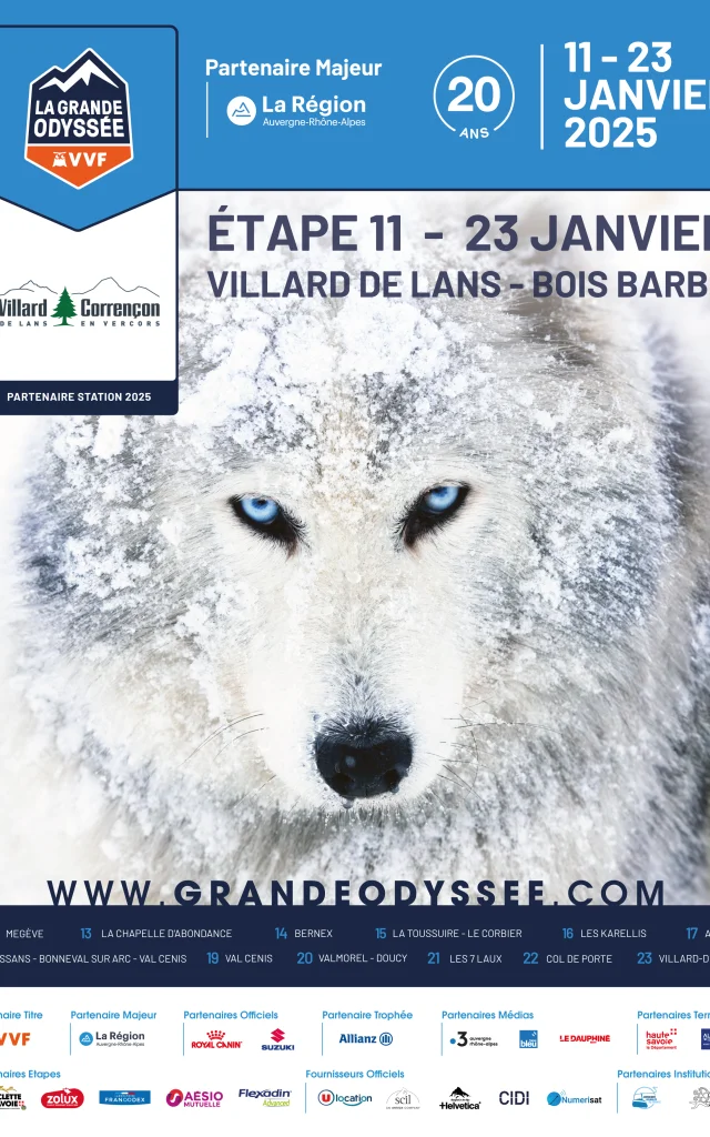 Lgo25 Affiche Villard